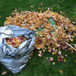 The Most Useful Compost From Fallen Leaves. Cooking Tricks.