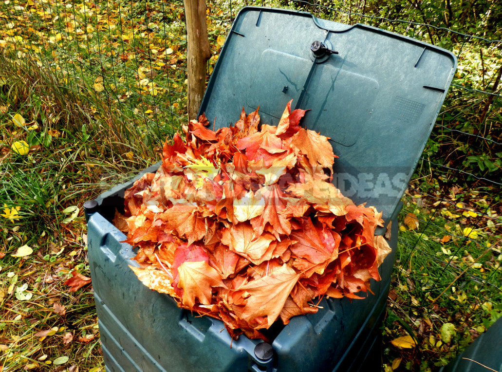 The Most Useful Compost From Fallen Leaves. Cooking Tricks.