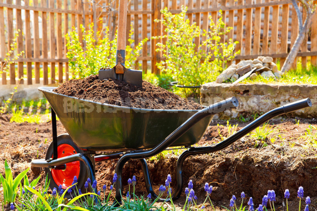 The Most Useful Compost From Fallen Leaves. Cooking Tricks.