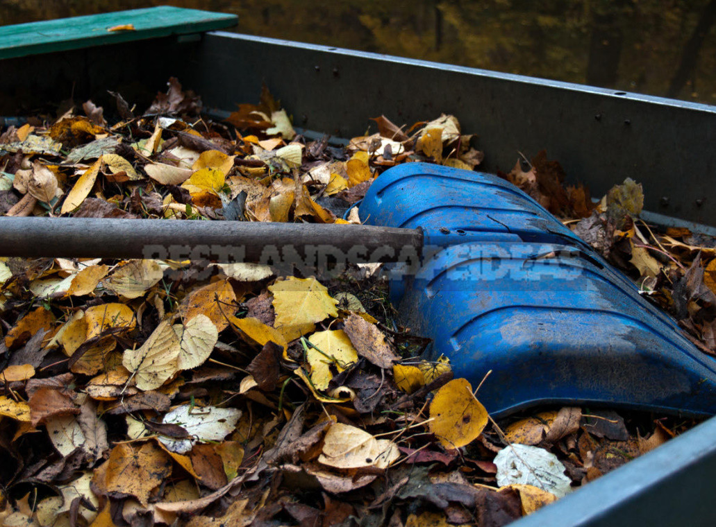 The Most Useful Compost From Fallen Leaves. Cooking Tricks.