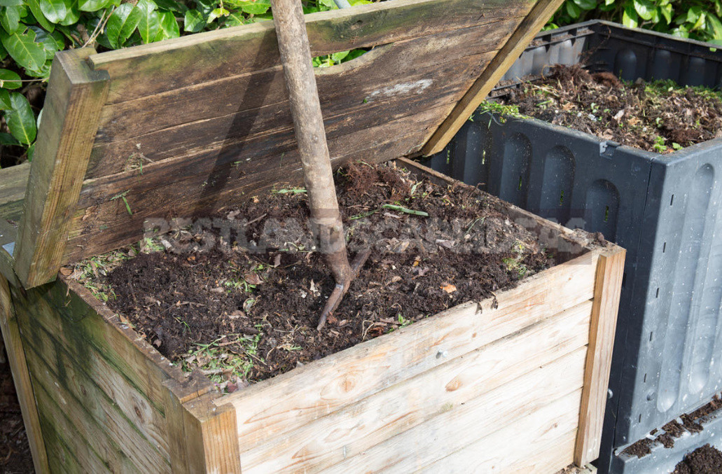 The Most Useful Compost From Fallen Leaves. Cooking Tricks.