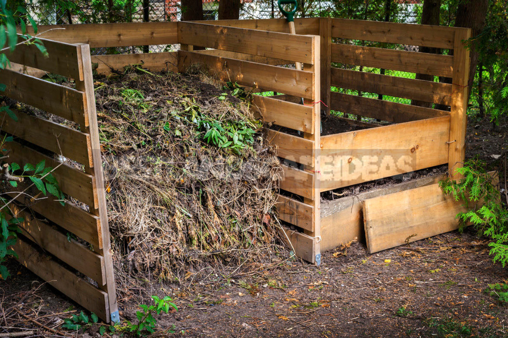 The Most Useful Compost From Fallen Leaves. Cooking Tricks.