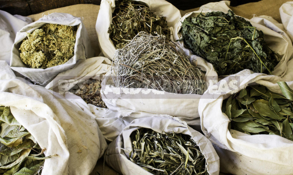 What Herbs do Brewers Use to Give the Drink a Special Taste