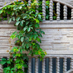 Fences Made of Concrete And Its Derivatives