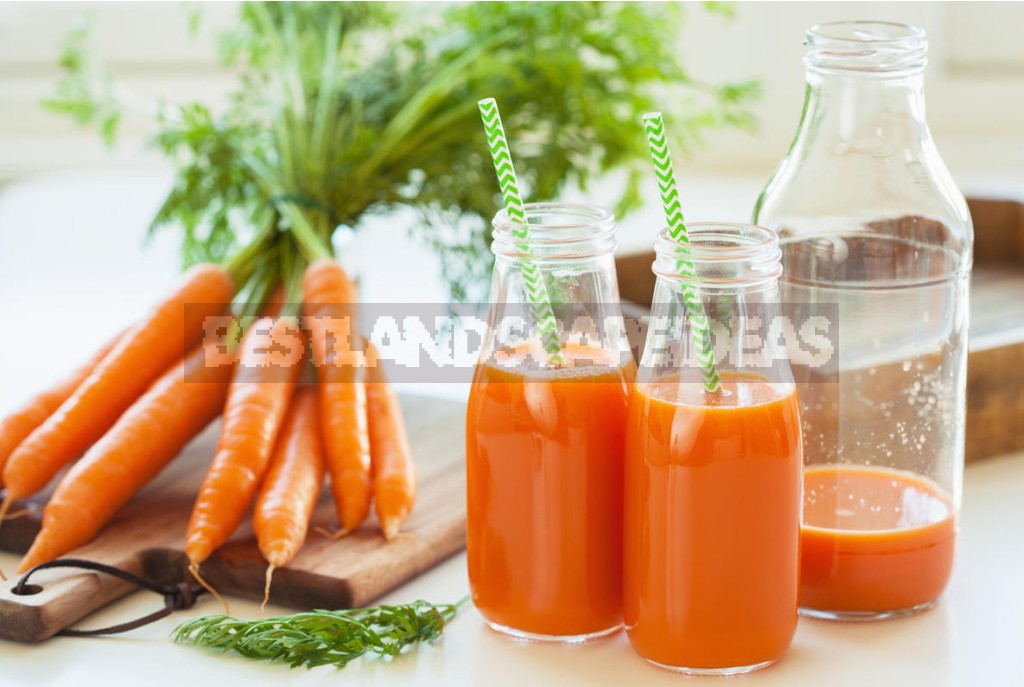 Benefits And Harms of Carrot Juice