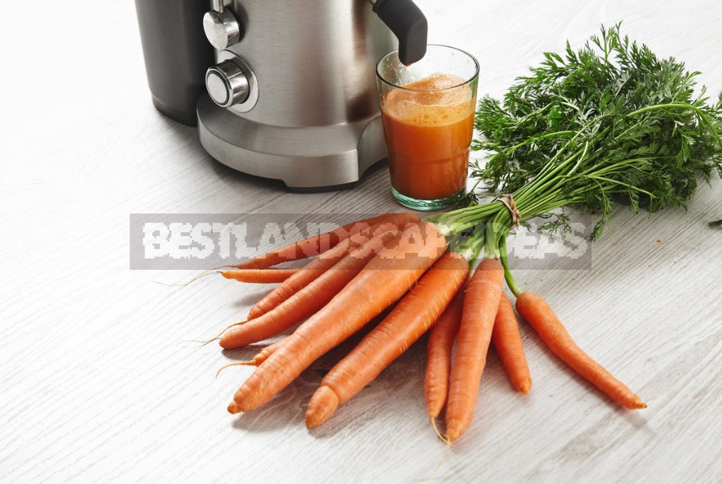 Benefits And Harms of Carrot Juice