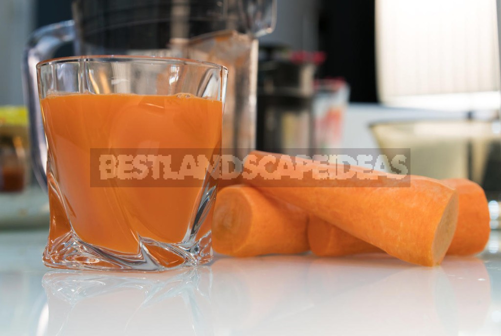 Benefits And Harms of Carrot Juice