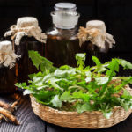 Dandelion Root Against Atherosclerosis