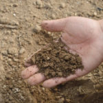 Everything You Need To Know About the Soil Novice Gardener (Part 1)