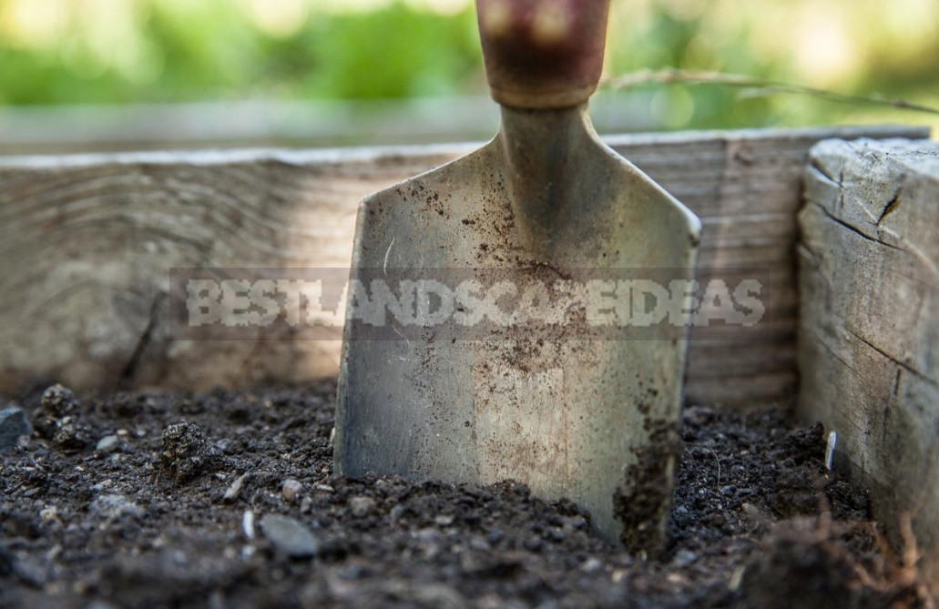 Everything You Need To Know About the Soil Novice Gardener (Part 2)