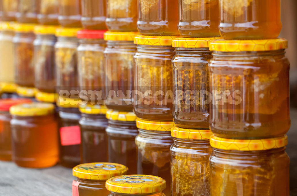 How to Choose the Right Honey. Signs of Forgery.