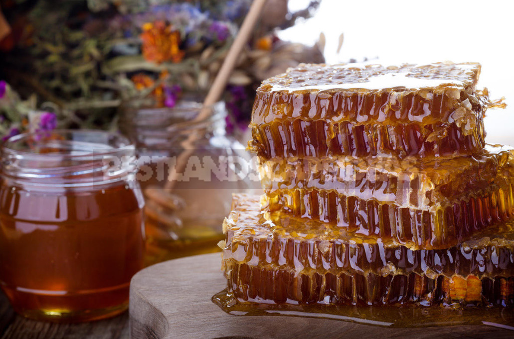 How to Choose the Right Honey. Signs of Forgery.