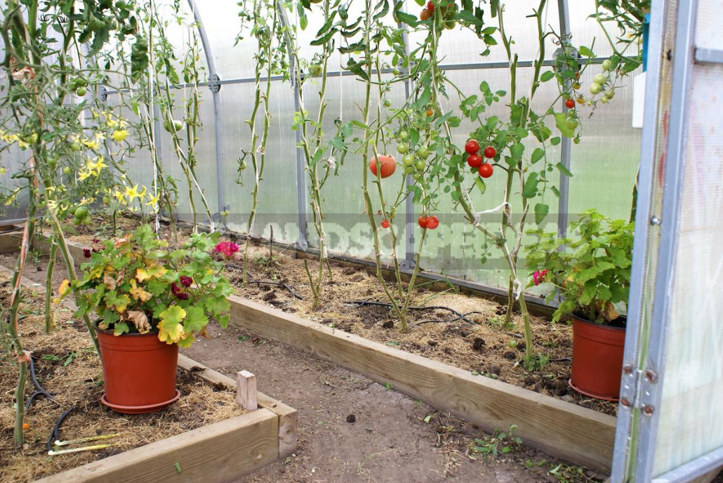 How to Prepare a Greenhouse For Winter