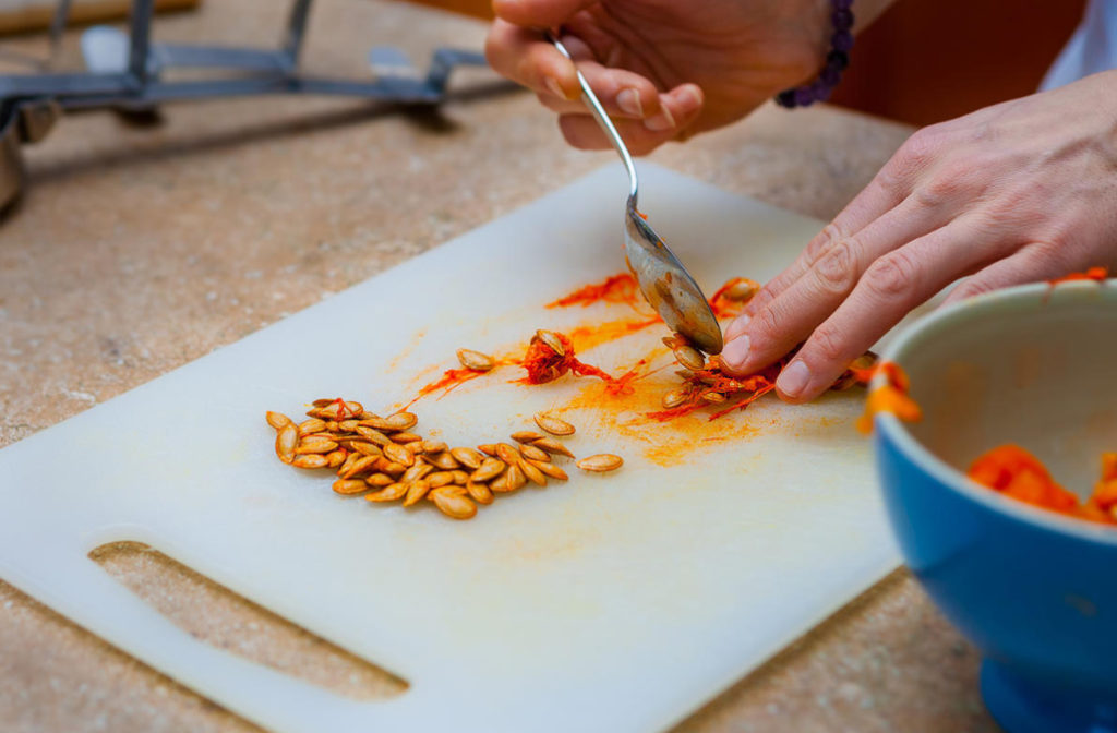 how-to-prepare-pumpkin-seeds-for-food-and-planting-best-landscape-ideas