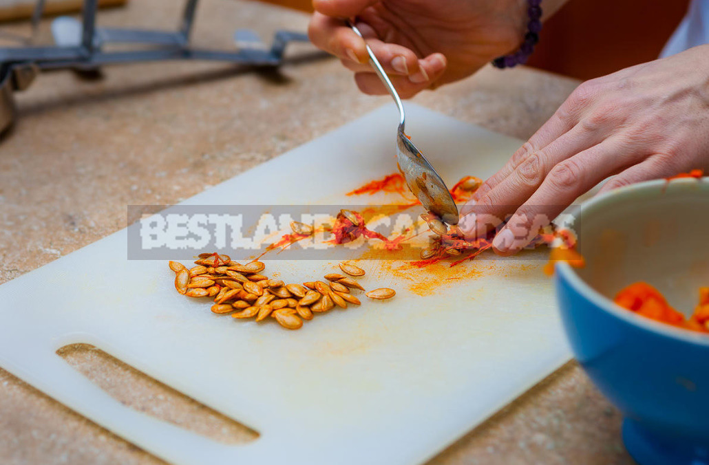 How to Prepare Pumpkin Seeds For Food And Planting