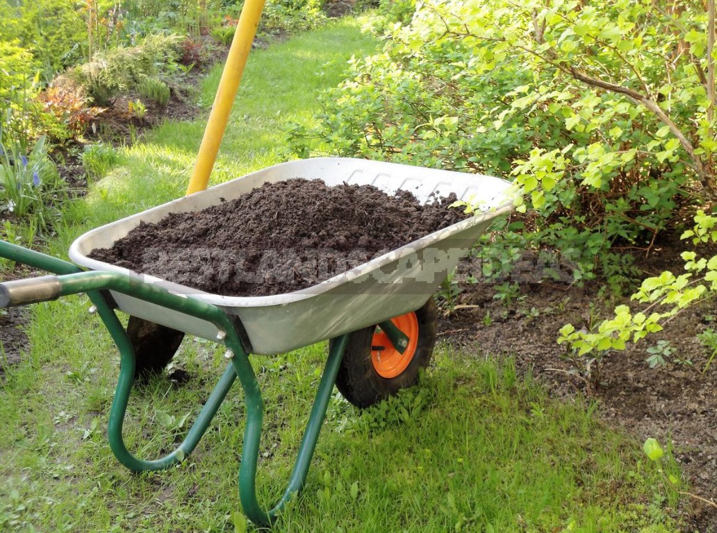 Perfect Compost Box: Location, Material, Dimensions, Usage (Part 1)