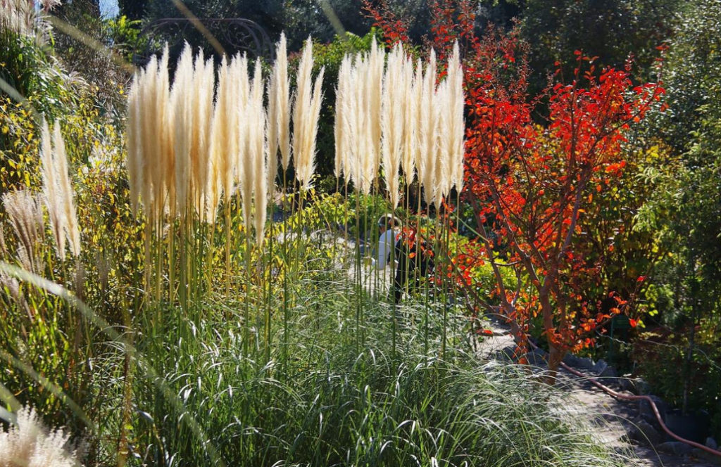 They Will Never Go Out of Fashion: Decorative Cereals