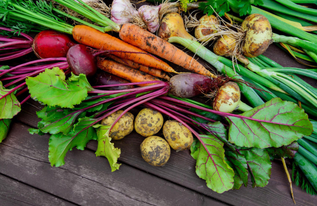 Tips For Storing Vegetables (Part 1)