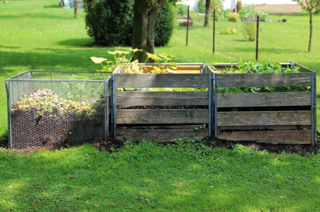 To Fertilize Or Not To Fertilize?