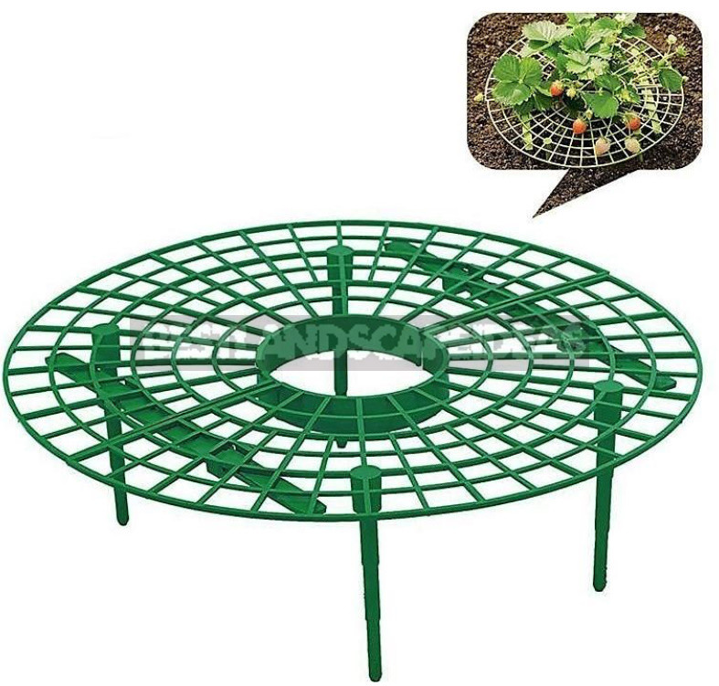 Useful Finds For Gardeners: Online Shopping, as Always, Pleasantly Surprised