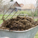 What Is Dangerous Manure?