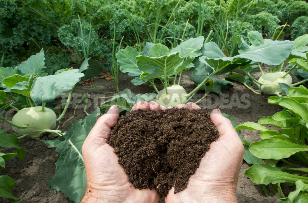 What Is Dangerous Manure?