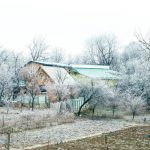 What To Do In the Cottage In November?