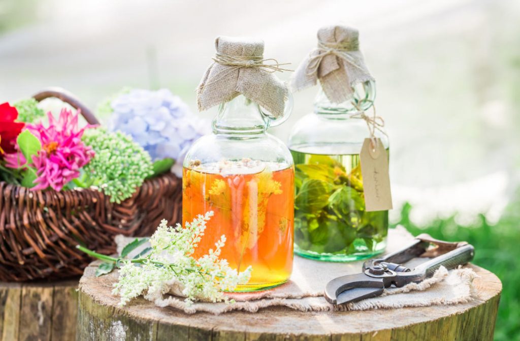 What To Make Flower Wine: 7 Best Aromatic Plants