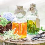 What To Make Flower Wine: 7 Best Aromatic Plants