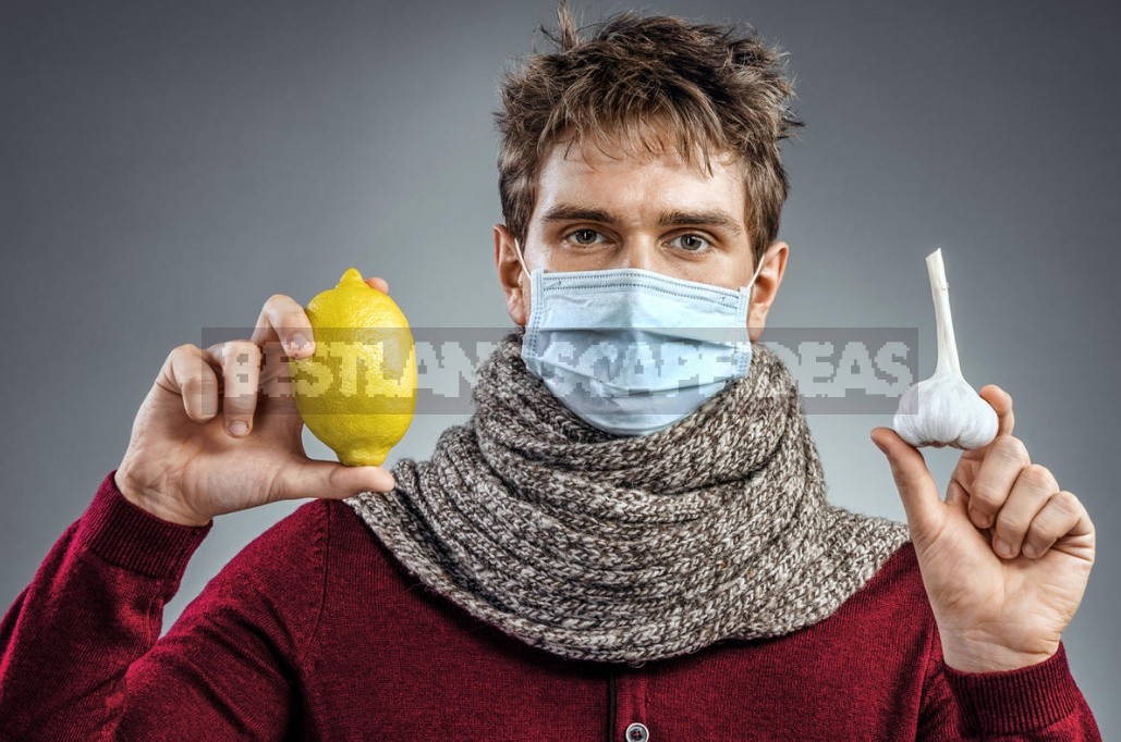 Effective Methods of Prevention And Treatment of Colds And Flu