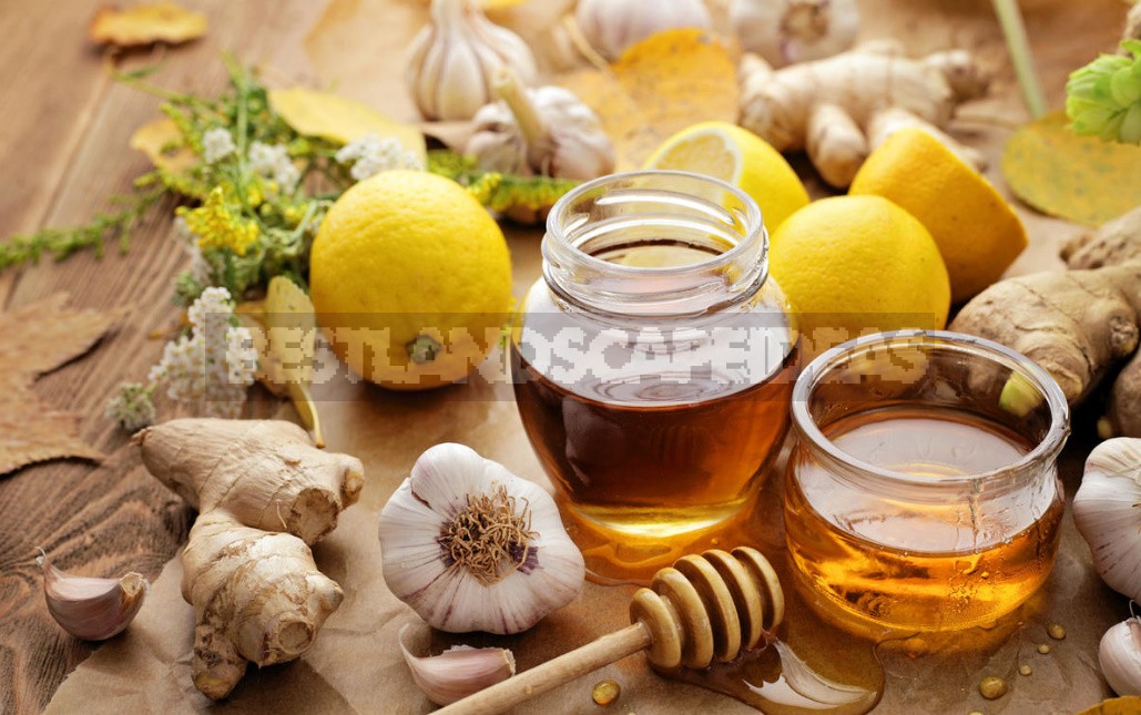 Effective Methods of Prevention And Treatment of Colds And Flu