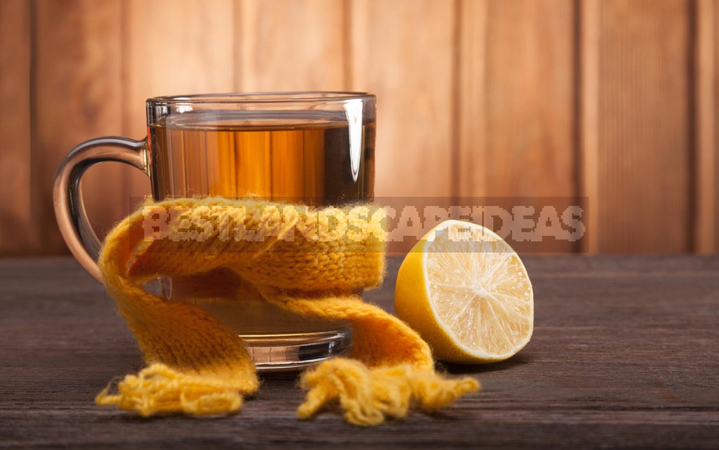 Effective Methods of Prevention And Treatment of Colds And Flu