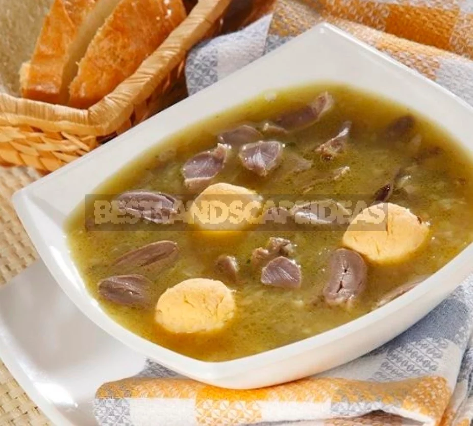 Offal Dishes: Salad, Soups, Main Courses (Part 1)