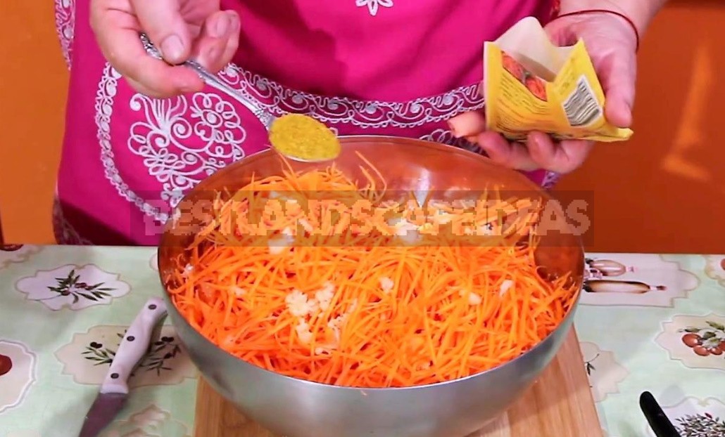 Pickled Cabbage Rolls With Carrots