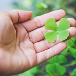 Plant Symbols: Mistletoe, Lily And World Tree