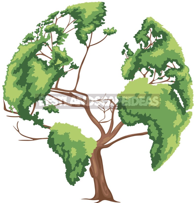 Plant Symbols: Mistletoe, Lily And World Tree