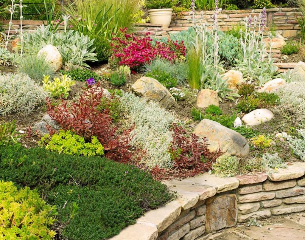 Rockeries: Types, Design Ideas & How to Build Your Own (Part 1)