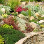 Rockeries: Types And Features of Their Device (Part 2)