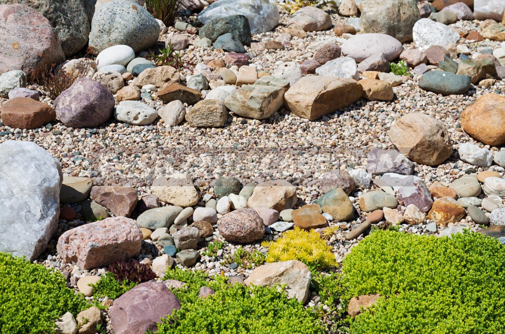 Rockeries: Types And Features of Their Device (Part 2)