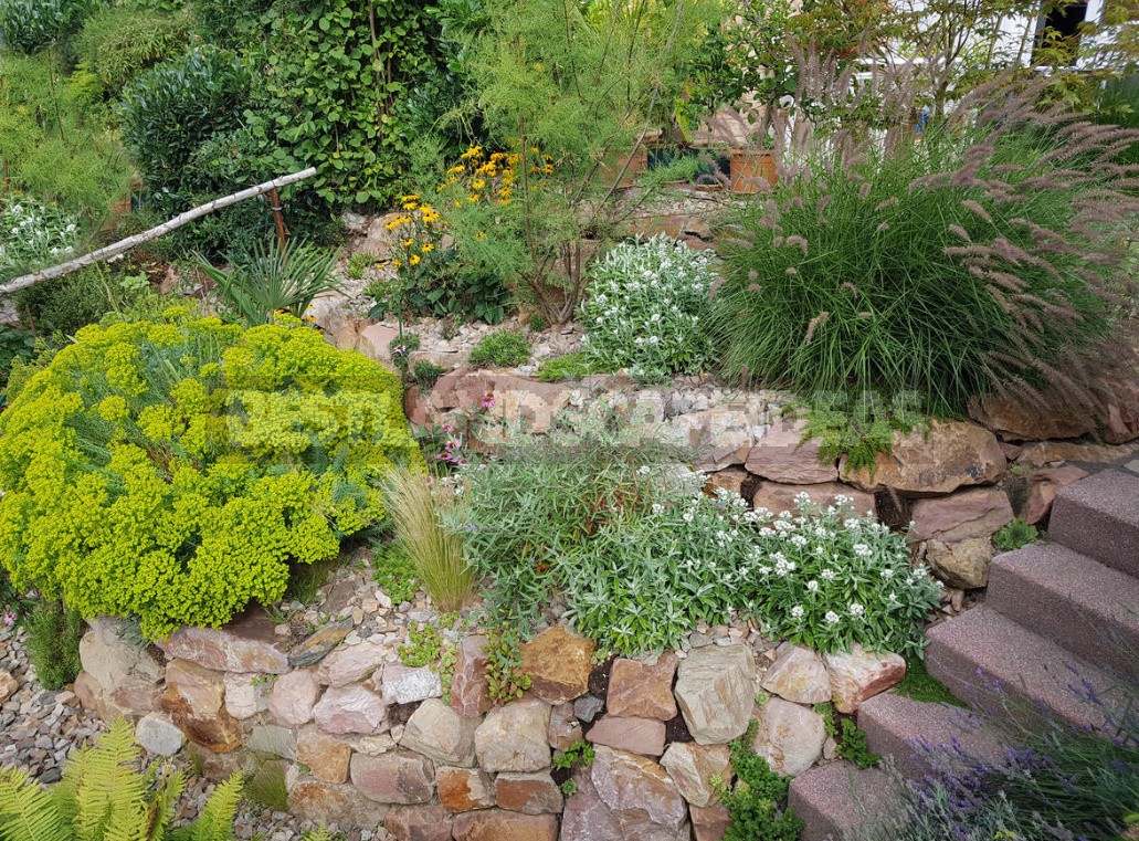 Rockeries: Types And Features of Their Device (Part 1)