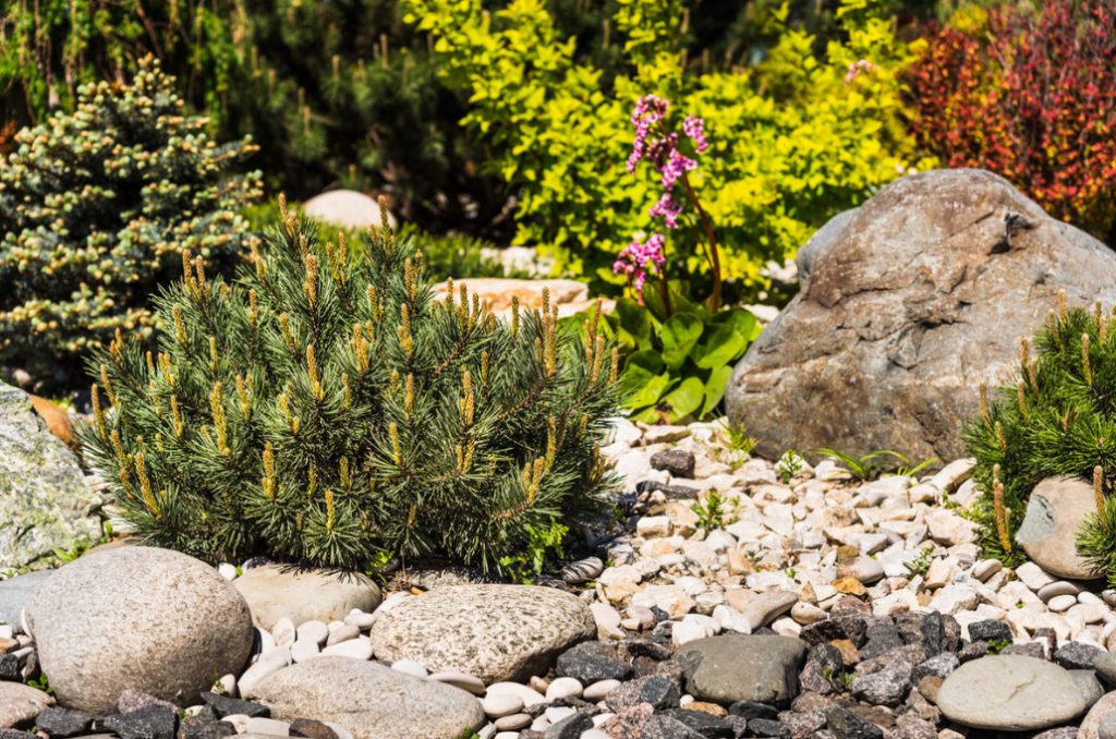 Rockeries: Types And Features of Their Device (Part 1) - Best Landscape ...