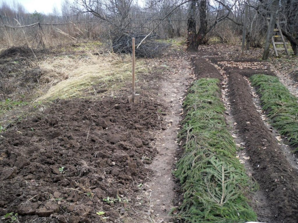 Why I Return To the Old Methods Of Tillage