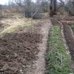 Why I Return To the Old Methods Of Tillage