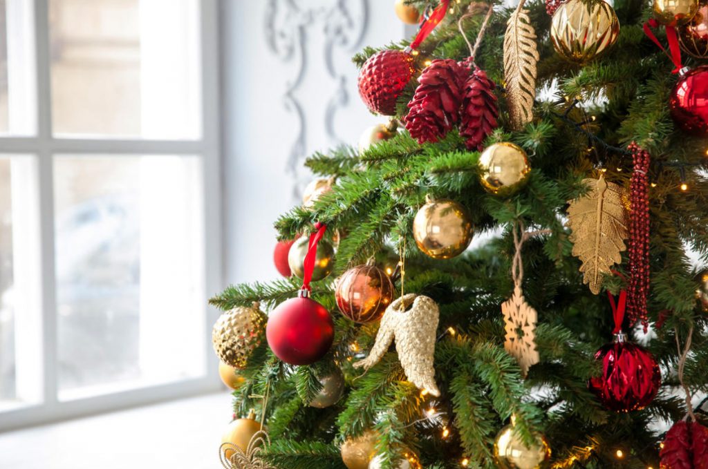 Artificial Or Alive. Which Christmas Tree Is Better?