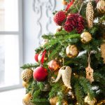 Artificial Or Alive. Which Christmas Tree Is Better?