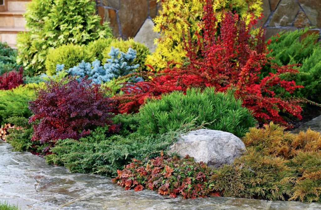 Basics of Composition In Garden Photography