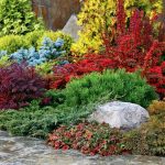 Basics of Composition In Garden Photography