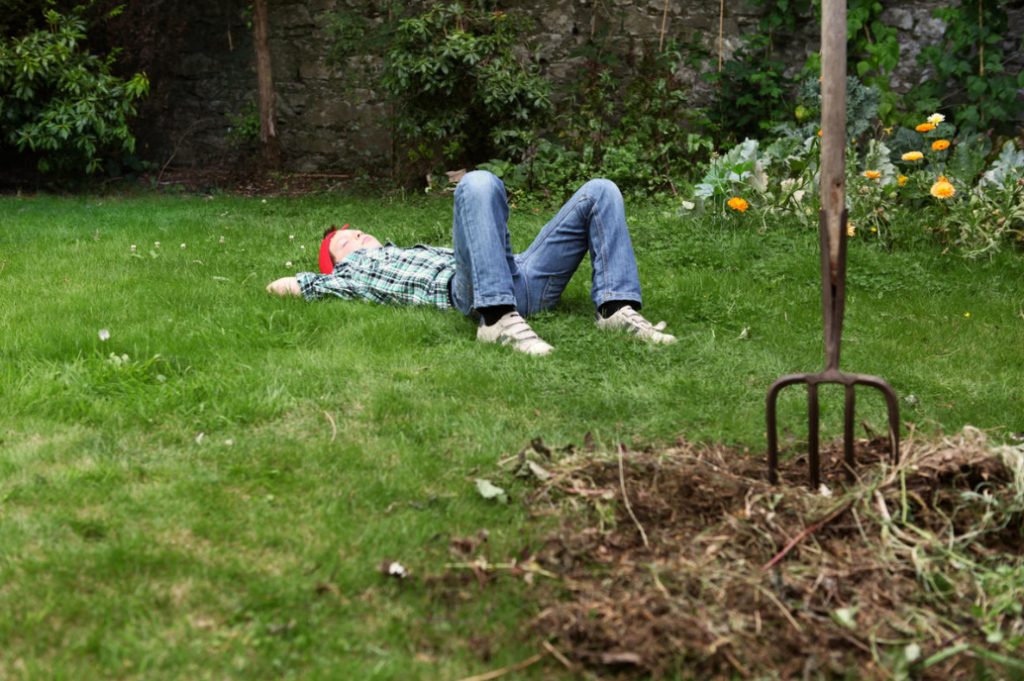 Garden And Vegetable Garden for the Lazy: How To Facilitate Work In the Cottage (Part 1)