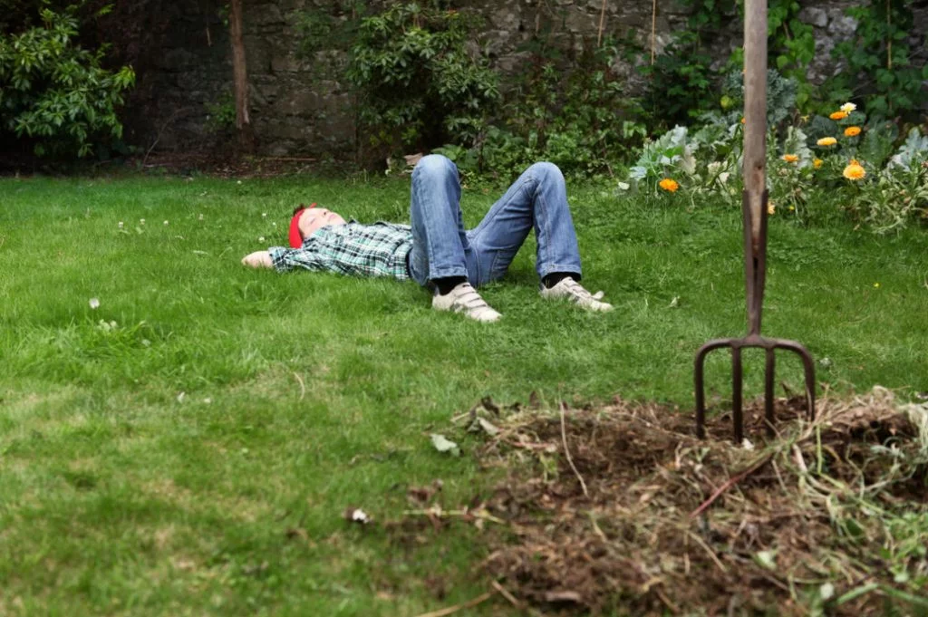 Garden And Vegetable Garden for the Lazy: How To Facilitate Work In the Cottage (Part 1)