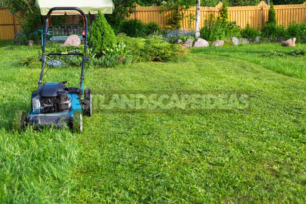 Garden And Vegetable Garden for the Lazy: How To Facilitate Work In the Cottage (Part 2)